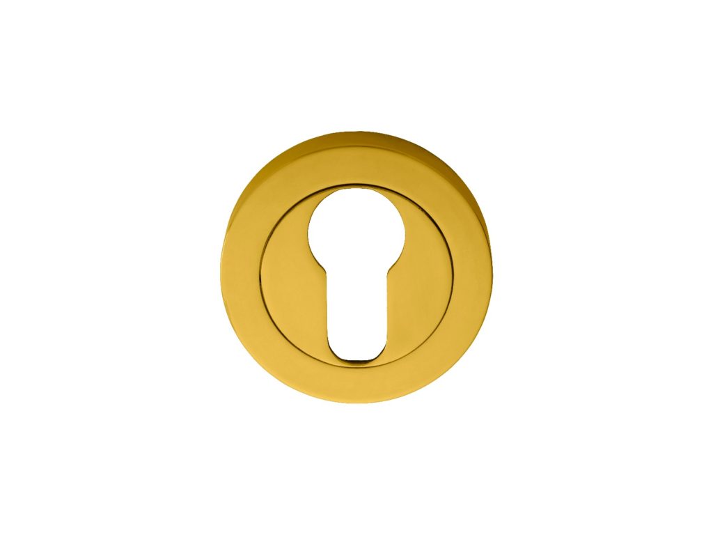 Euro Profile Escutcheon in Polished Brass