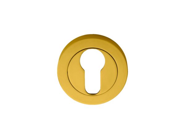 Euro Profile Escutcheon in Polished Brass