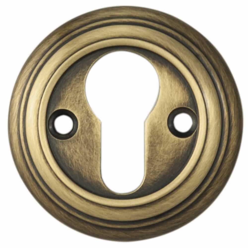Delamain Euro Profile Escutcheon - Image 1