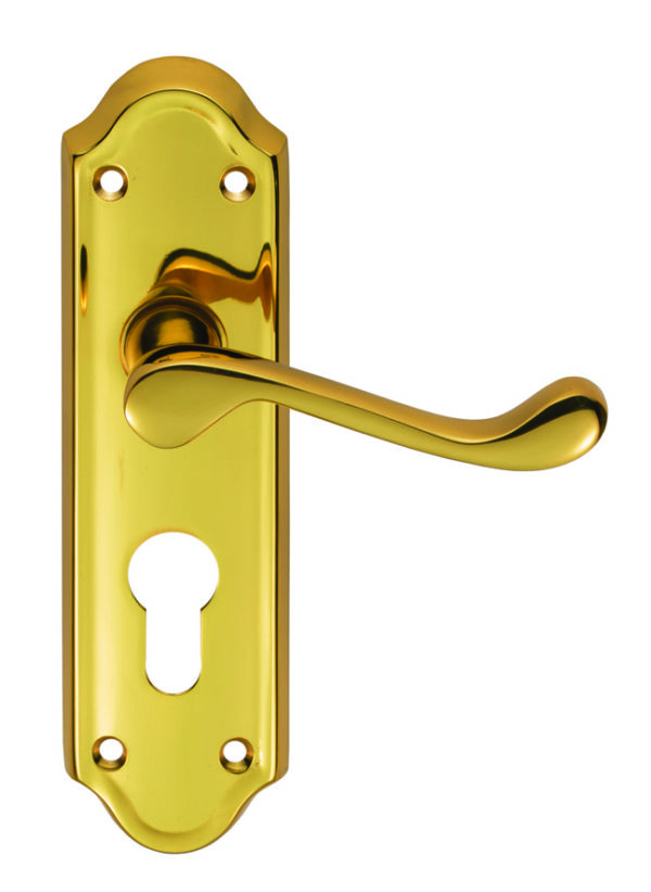 Ashtead Lever on Euro Lock Backplate