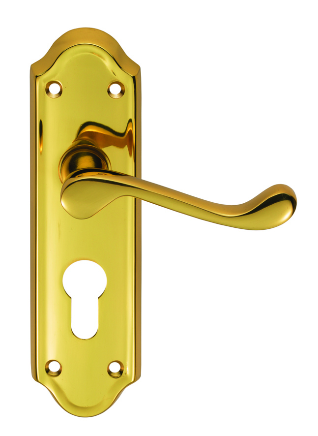 Ashtead Lever on Euro Lock Backplate - Image 1