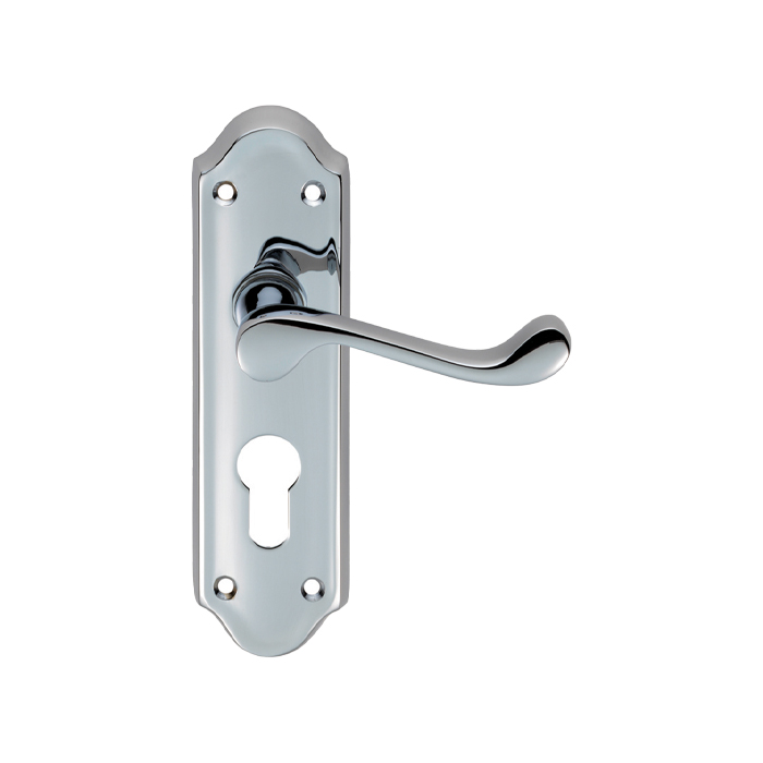 Ashtead Lever on Euro Lock Backplate - Image 1