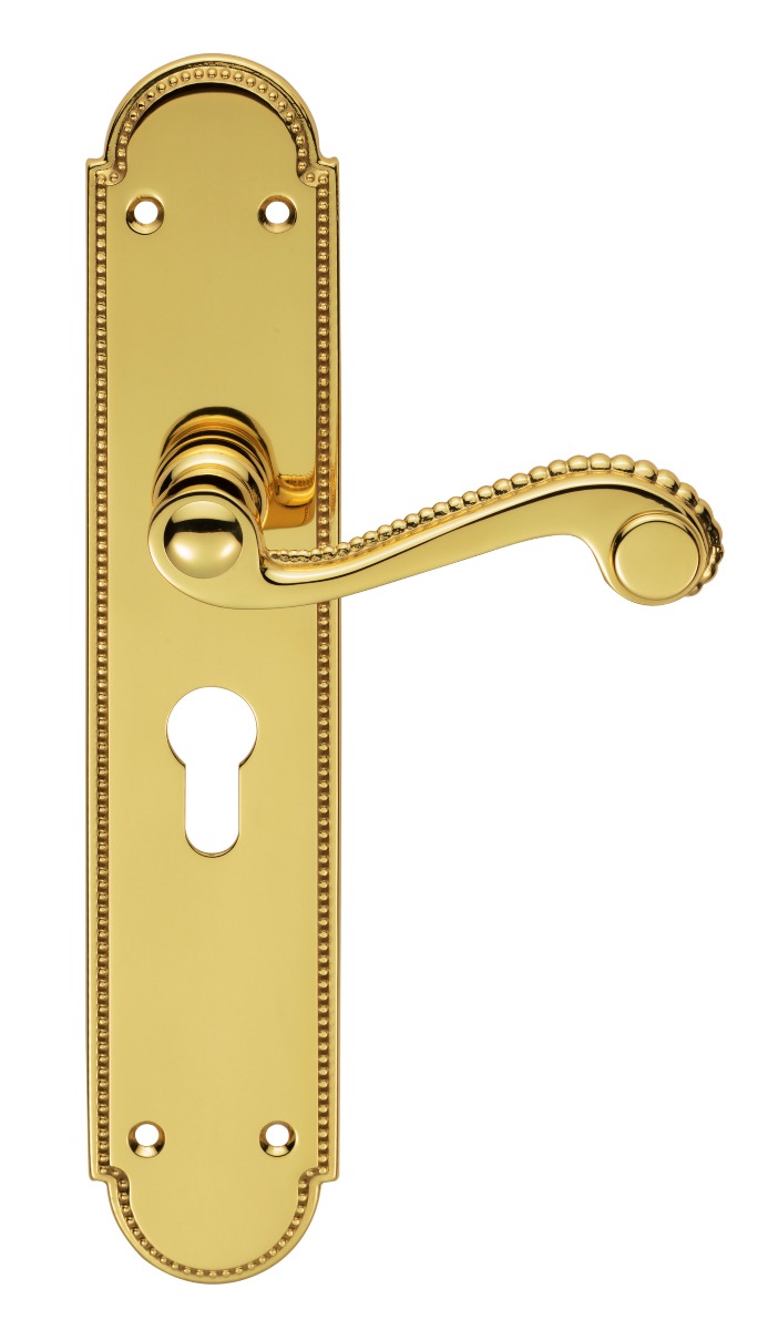 Chesham Lever on Euro Lock Long Backplate - Image 1