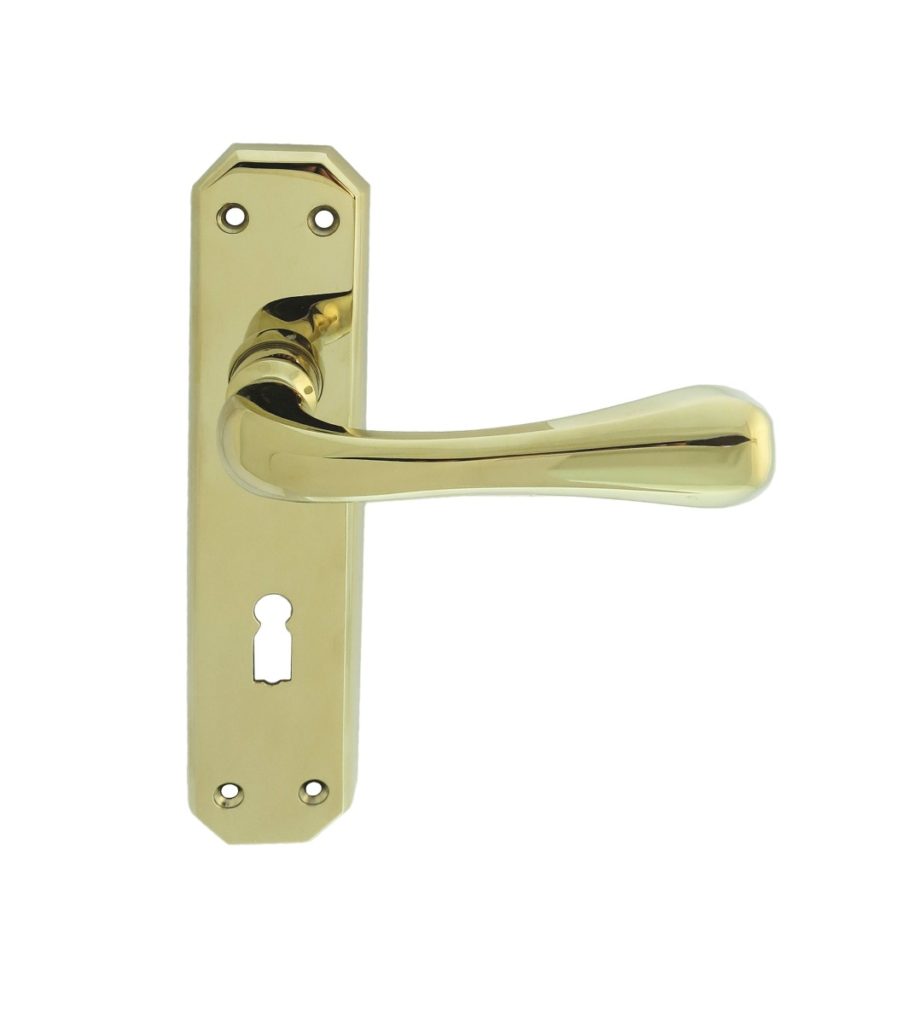 Eden Lever on Lock Backplate