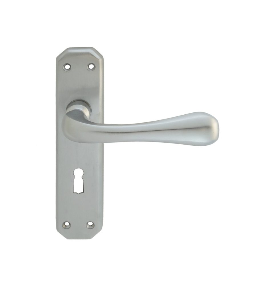 Eden Lever on Lock Backplate