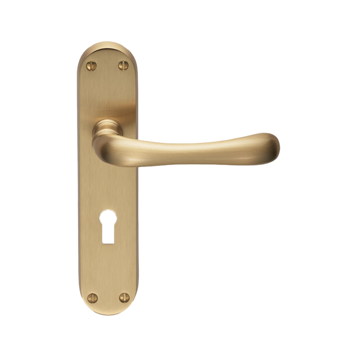 Ibra Lever on Lock Backplate - Image 1