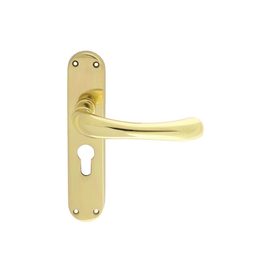 Ibra Lever on Euro Lock Backplate