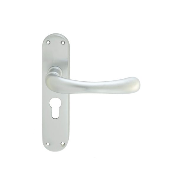 Ibra Lever on Euro Lock Backplate