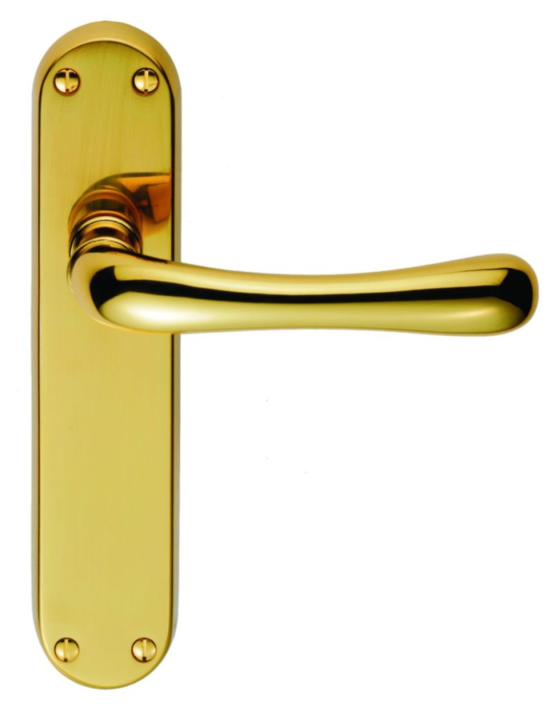 Ibra Lever on Latch Backplate
