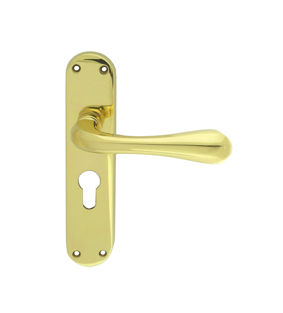 Astro Lever on Euro Lock Backplate
