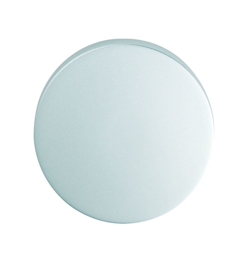 Blank Escutcheon