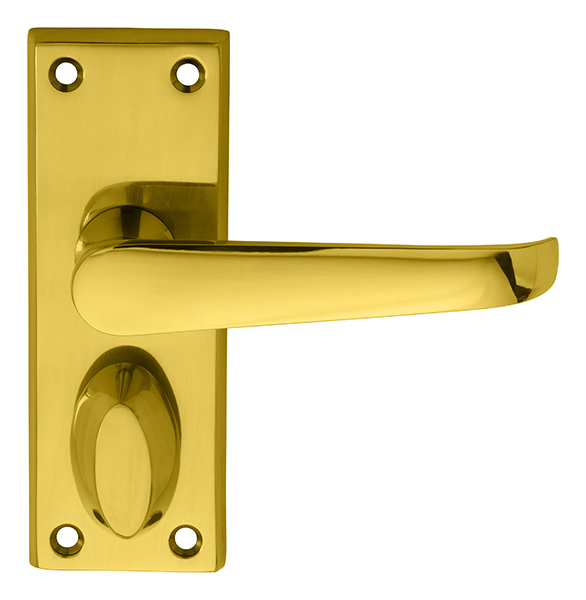 Victorian Lever on Privacy Backplate